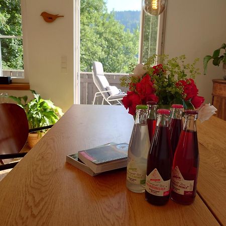 Waelder: Quartier Haus Im Glueck Villa St. Blasien Luaran gambar