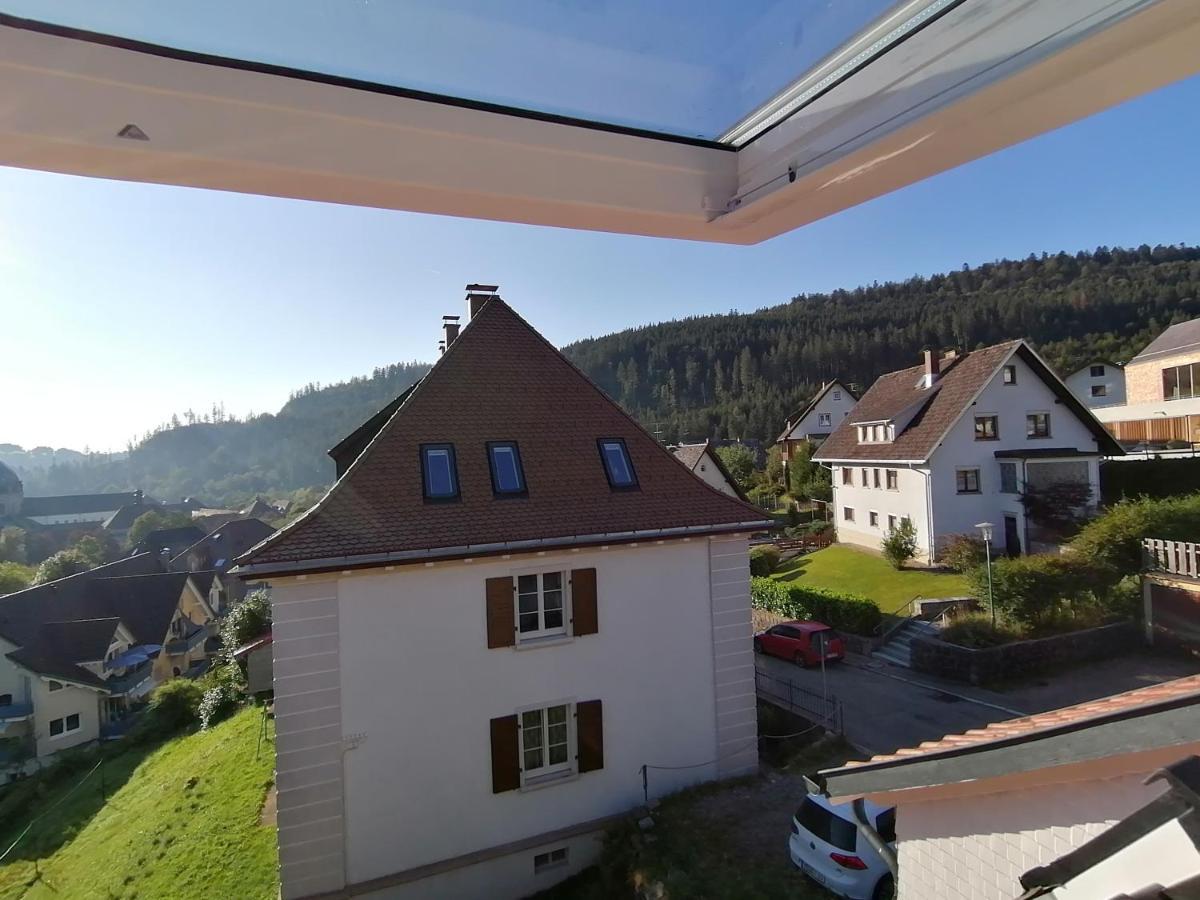 Waelder: Quartier Haus Im Glueck Villa St. Blasien Luaran gambar